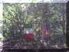pict0002.jpg (47728 bytes)