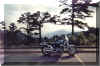 Turn out view OK 02.jpg (68052 bytes)