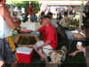 100-0085_IMG.jpg (47220 bytes)