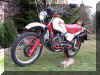 wolf-tt.jpg (45354 bytes)